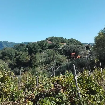 Nyaraló Casa Greta Massarosa