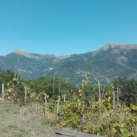 Casa Greta